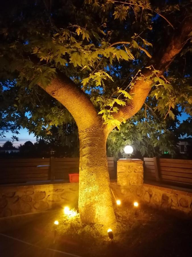 Vital Home Sapanca Isitmali Havuzlu Villa&Bungalov Buitenkant foto